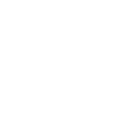 logo thang long 